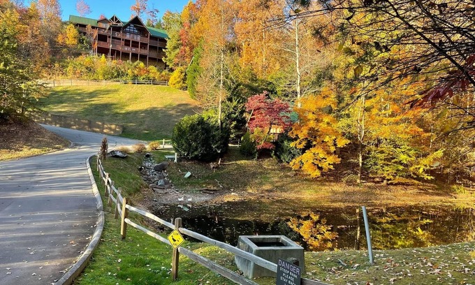 Black Bear Falls Cabin | "Geaux Bear Naked" 4/4 Cabin W/Game Room and unobstructed Views!