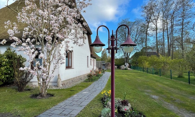 Ostseebad Prerow Apartment | Gemütliche Ferienwohnung Parterre Unterm Reetdach