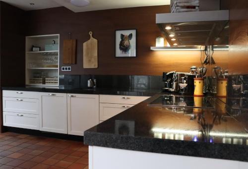 Den Ham Villa | Gezellige Ruime Villa incl Hottub Sauna en Gamesroom