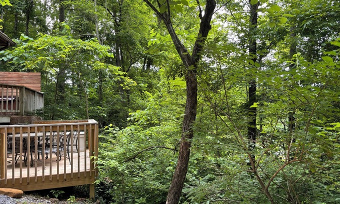 Townsend Cabin | Gi Gi's Getaway! Hot tub. F/P. screened porch