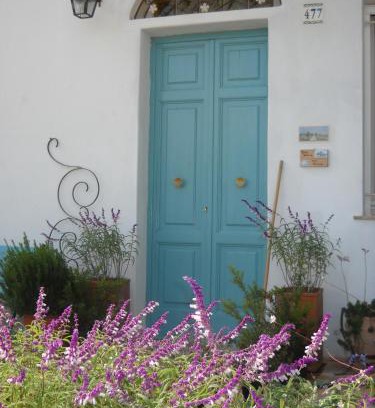 Altamura Bed & Breakfast | Giardino della Moscatella