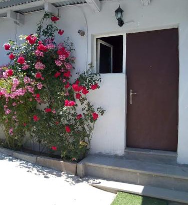 Borjomi House | giomana