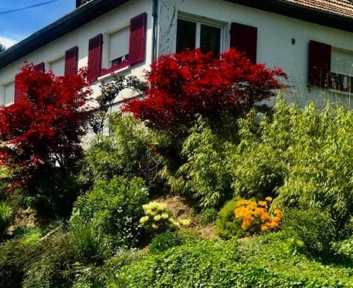 Breitenbach-Haut-Rhin House | Gite Chez Mimie