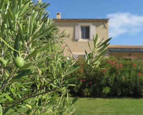 Cabrieres-d'Avignon Apartment | Gite Le Petit Luberon LISIANTHUS