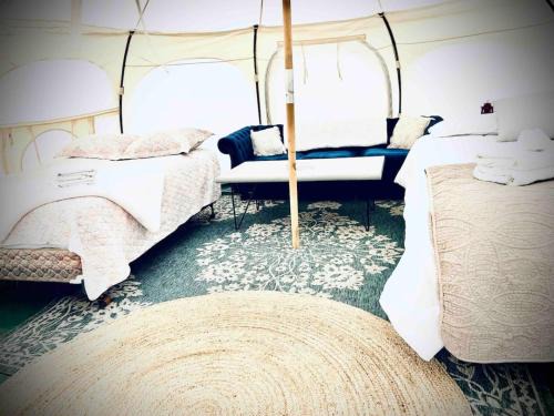 Buena Vista Other | Glamorous River Yurt -H- and Breakfast