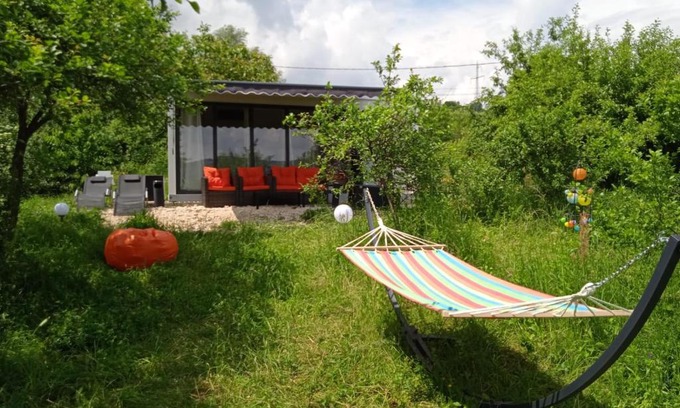 Curtea De Arges Other | Glamping pe Drum Transfagarasan srl
