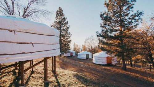 Dunlap House | Glamping yurt at a nature retreat Sequoia Highland