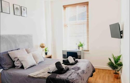 Kelvinbridge Apartment | Glasgow City 1 Bedroom Apartment