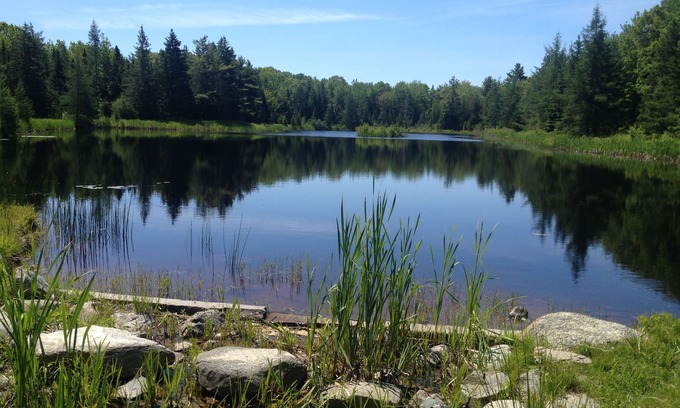 Bar Harbor House | Glenwood - Private Spacious Home, 4.7 miles from Acadia, walk to Pond