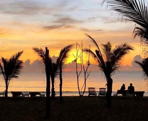 Pottuvil Division 2 Resort | Golden Beach Resort