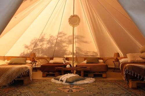 Falerna Other | Golden Camp