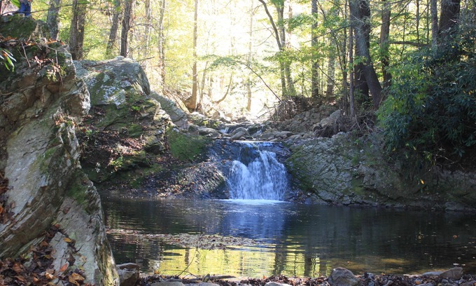 Hot Springs House | Grandma's House/Family and Pet Friendly/Hot Tub & Fire Pit/Close to Trout Stream