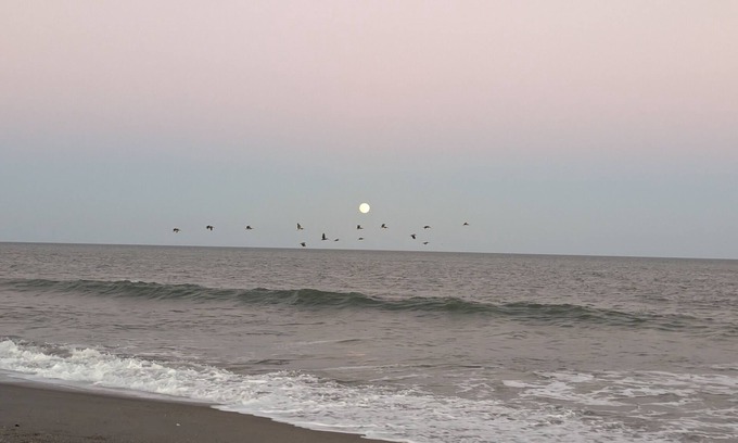 Surfside Beach House | Great Central Location Mid-Strand-2 pools-only15 Minutes to Beach/Attractions