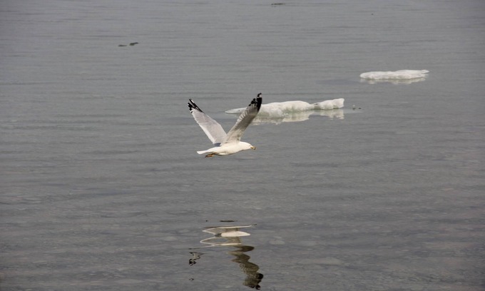 Petoskey Apartment | Great Holiday Getaway!