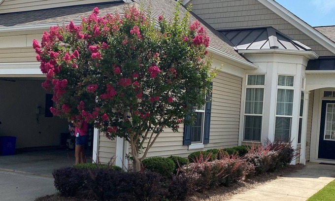 Rock Hill House | Great house