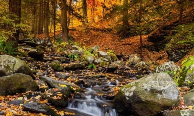 Briar Crest Woods Cabin | Great Place for Leaf-Peeping this Fall: Exclusively at the Hideout!