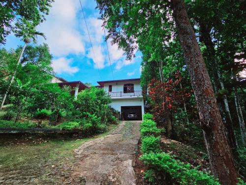 Kandy House | Green Heaven