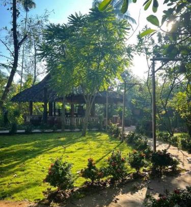 Ben Tre House | Green homestay Bến Tre- Bến Tre