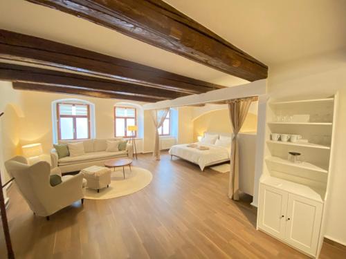 Pirna Apartment | Großzügiges 1 Zimmer-Apartment mit Badewanne