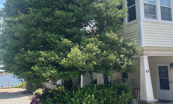 Highlands Cottage | Ground floor water side 1-bedroom cottage. Rocking chair front porch. No stairs