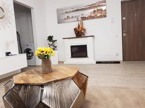 Selimbar Apartment | Gruenwald Paradis Sibiu