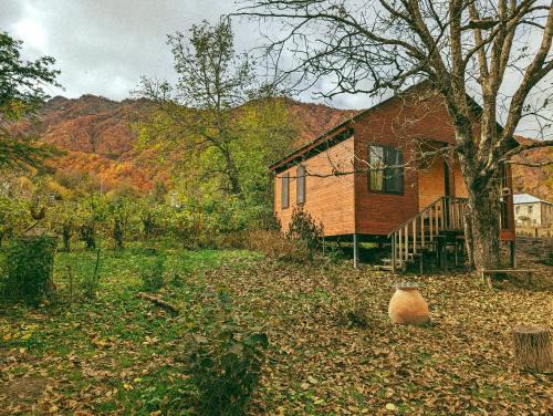 Racha-Lechkhumi and Lower Svaneti House | Guest House Brili in Ghebi