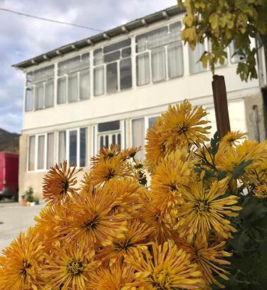 Zeda Gordi House | Guesthouse _ DAVITI