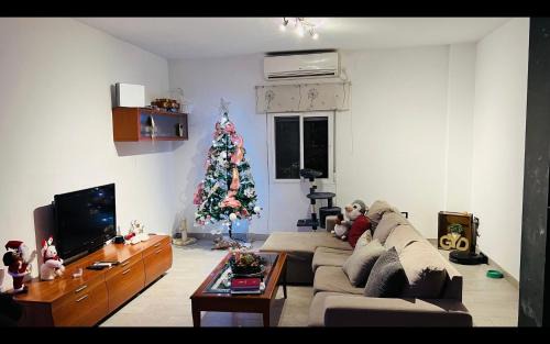 Bami House | Habitacion Comoda