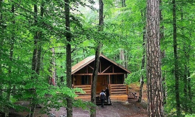 Yedigoller National Park House | Habitat Mesire Evleri