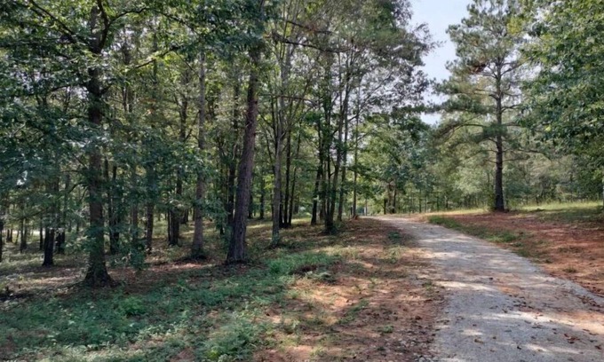 Ashland RV Rental | Hairy Hiker Woods -Full Hookup RV sites-Pet Friendly! Hide & Seek Dr.