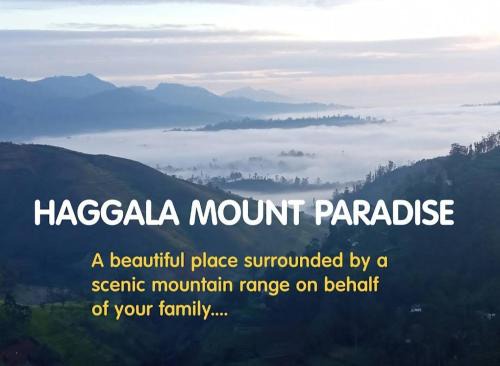 Welimada Apartment | Hakgala Mount Paradise