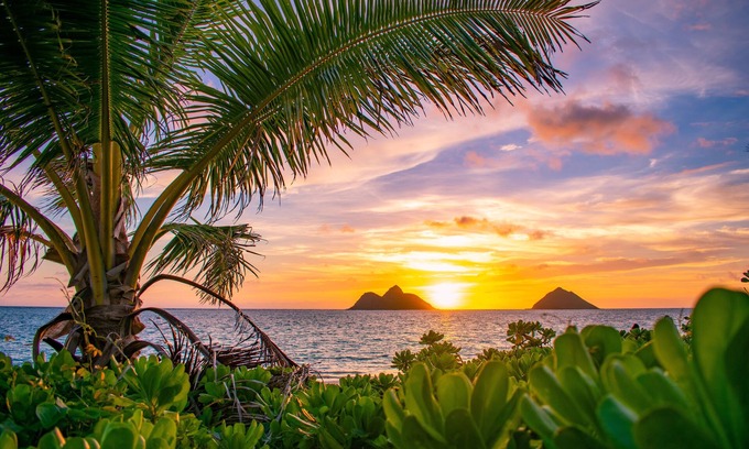 Lanikai House | Hale Alapi'i Lanikai Getaway by Gather: Newly Renovated Near Beach & Hiking