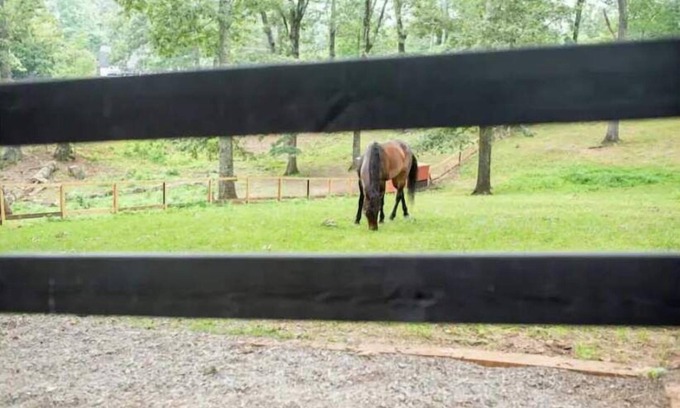 Canton House | Half Moon Farm