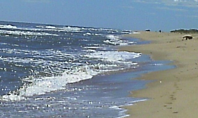 Napeague House | Hampton's Beach House With Dunes, Views & Ambiance! Ocean & Bay Beaches!