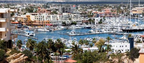 Centro Apartment | Harbour Junior suite