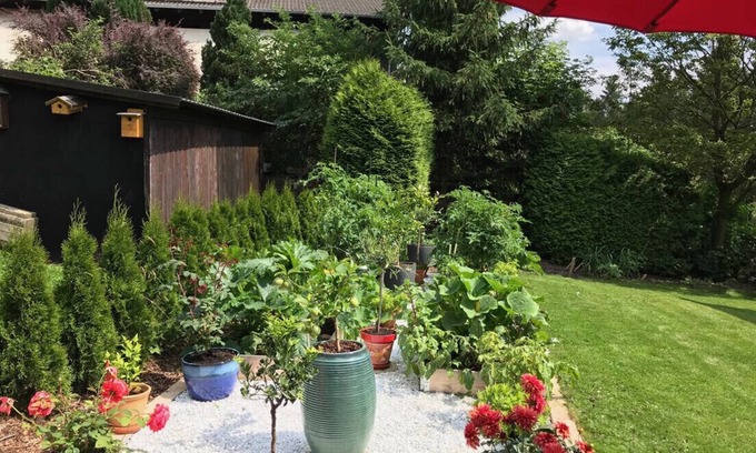 Schulenberg im Oberharz Apartment | Harz and Home - Holiday apartment with WLAN.