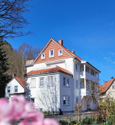 Bad Grund Apartment | Haus Am Beckerberg im Harz