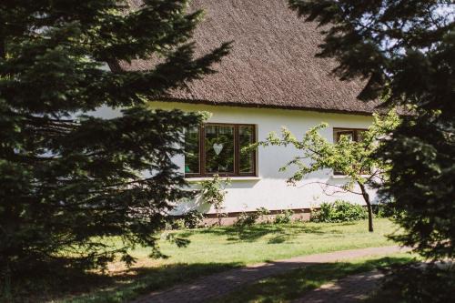 Wieck auf dem Darss House | Haus an der Tanne