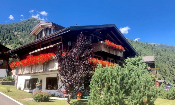 Blitzingen Apartment | Haus Diezig