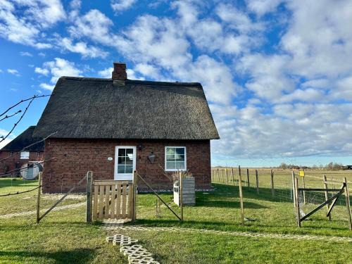 Fahretoft House | Haus Treibsel