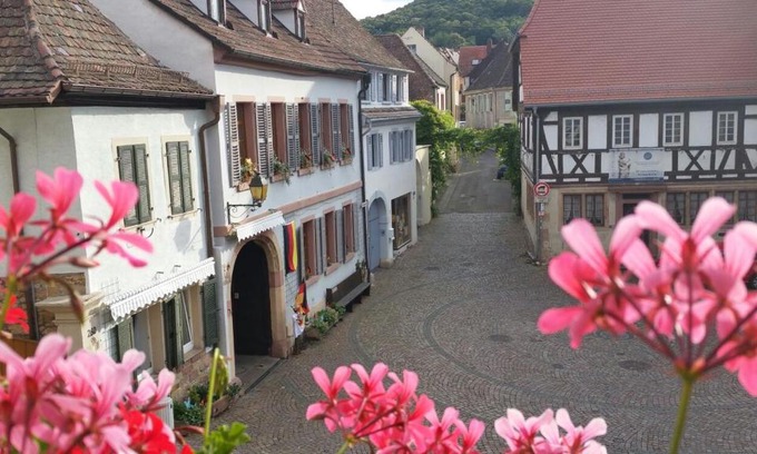 Neustadt-Hambach Apartment | Haus Wasmuth - Ferienwohnung DORFPLATZ