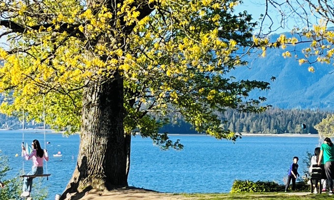 Kitsilano House | Heart of Kitsilano, centrally located & spacious self contained basement suite.