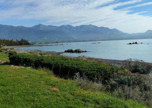 Kaikoura Apartment | Heays Lane Cottage