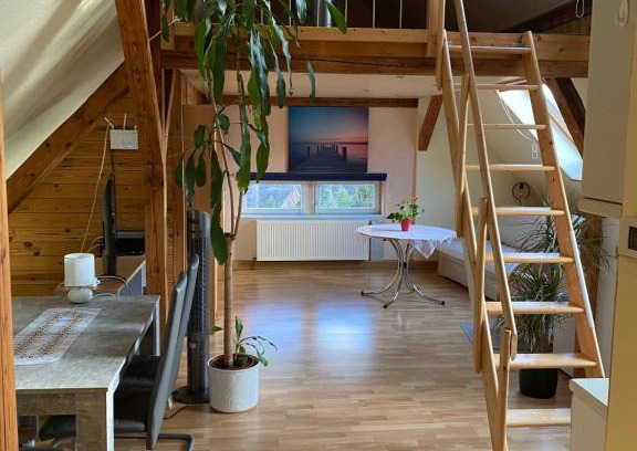 Dolzschen Apartment | Helles und charmantes Loft mit herrlichem Blick