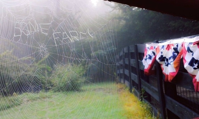 Henderson Cottage | Henderson, TN Cottage Farmstay E-I-E-I-Oh, MY!