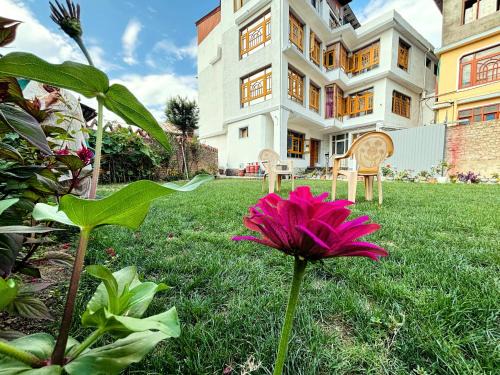 Nishat-Shalimar House | Herald spring