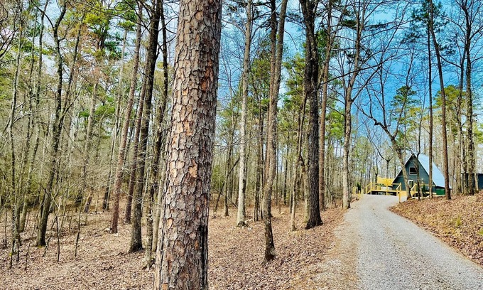 Royal Cabin | Hidden A-Frame w/hot tub-Near Pristine Lake Ouachita and Hot Springs National Pk