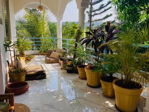Ashvem Apartment | Hidden Haven, Eden in India ! Quietest stay in Goa