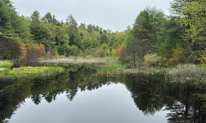 Narrowsburg House | Hidden Modern Retreat - Cozy house in marvelous Narrowsburg with WiFi & AC