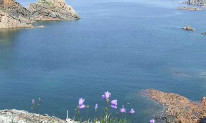 Twillingate House | Hikers paradise, main trails 5 min. walk.